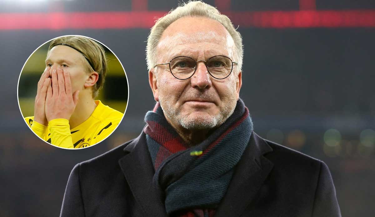 M展现出的 M展现出的